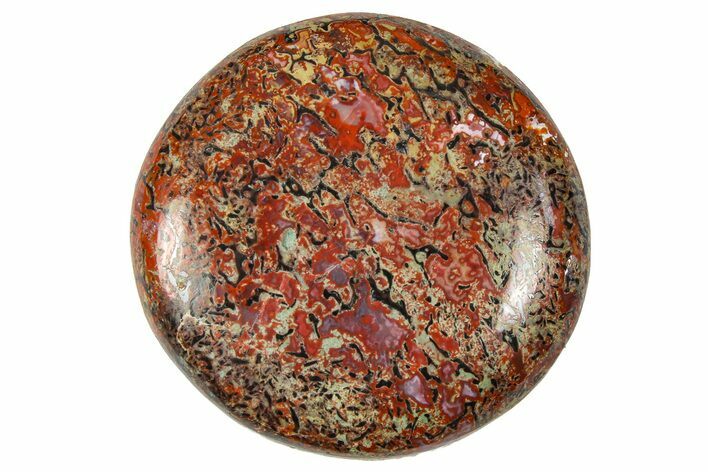 Polished Dinosaur Bone (Gembone) Cabochon - Colorado #370749